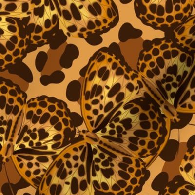 Leopard hidden by Leopard Butterflies | 24