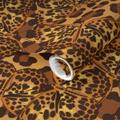 Leopard hidden by Leopard Butterflies | 24