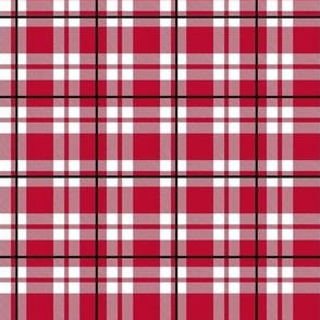 Smaller Scale Team Spirit Football Plaid in Georgia Bulldogs Colors Red Arch Black and Chapel Bell White