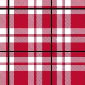 Bigger Scale Team Spirit Football Plaid in Georgia Bulldogs Colors Red Arch Black and Chapel Bell White