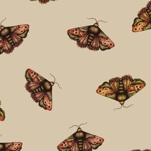 Vintage moths on beige