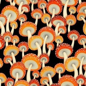 Mushroom Amanita Pattern - Black - Spots