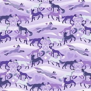 Valentine Foxes in Lavender