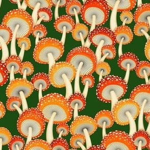 Mushroom Amanita - Spots - Green