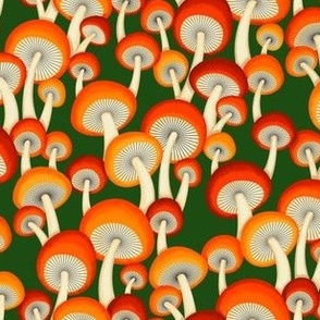 Mushroom Amanita - Green - Solid