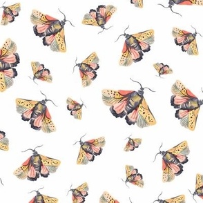 Watercolor moths on white