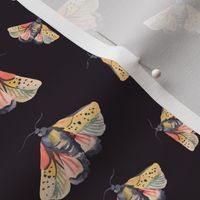 Vintage watercolor moths on black