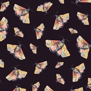 Vintage watercolor moths on black