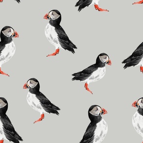 Puffin Party - Larger  Scale on Light Grey