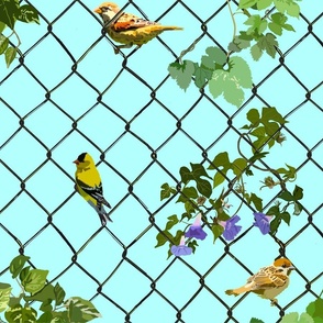 Birds on a Fence (Blue)