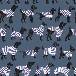 dogs in striped jumpers blue hues