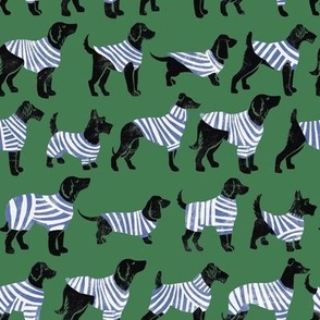 dogs in striped jumpers green and blue