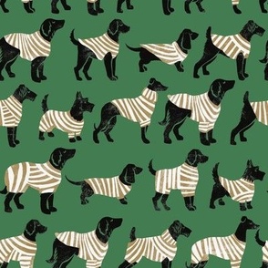 dogs in striped jumpers green and gold