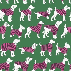 dogs in striped jumpers green and pink