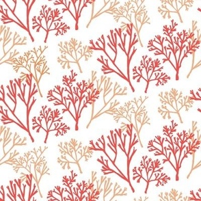 Coral branches in orange-red and peach overlapping