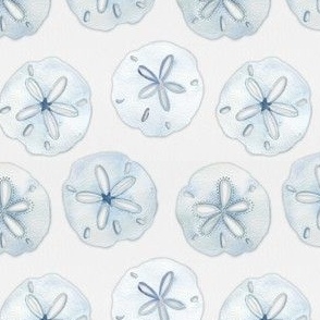 Sand Dollars in Light Blue on a light background