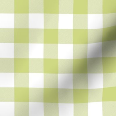 New Green and White One Inch Check French Provincial Spring Checkerboard 