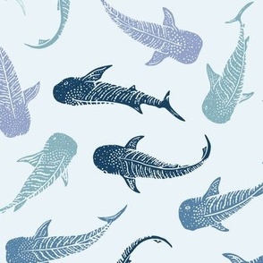 Scattered Swimming Whalesharks - Large Scale