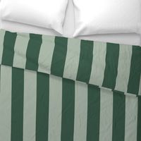 Bold Stripe - Forrest and Mint