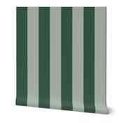 Bold Stripe - Forrest and Mint