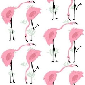 Pink Flamingos with Green Ferns