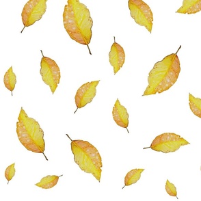 Falling Leaf Collage