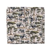 Zoo Animal  Safari Print, African Rhino Wild Baby Rhinoceros in the Desert, Green Acacia Trees (Medium Scale)