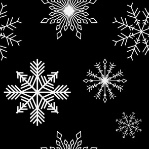 Winter Christmas holiday snowflake in black and white