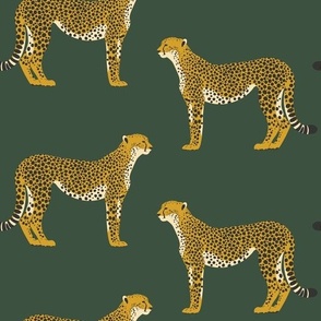 medium // cheetah pattern 01 on dark green