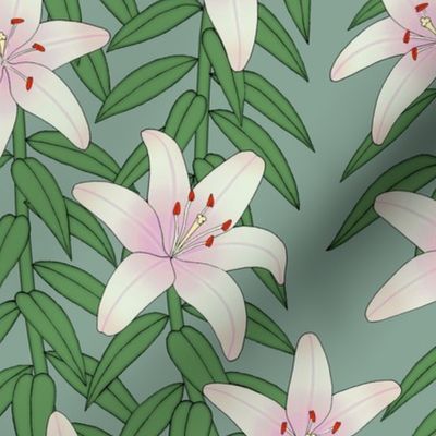 Asiatic lilies on muted turquoise