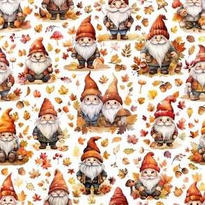 Autumn Gnomes