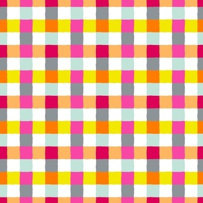 cheerful bright irregular gingham check | large