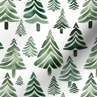 Spruce Forest. Christmas tree. Woodland landscape with fir trees