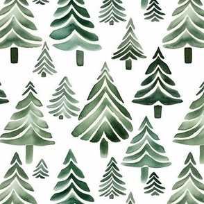 Spruce Forest. Christmas tree. Woodland landscape with fir trees