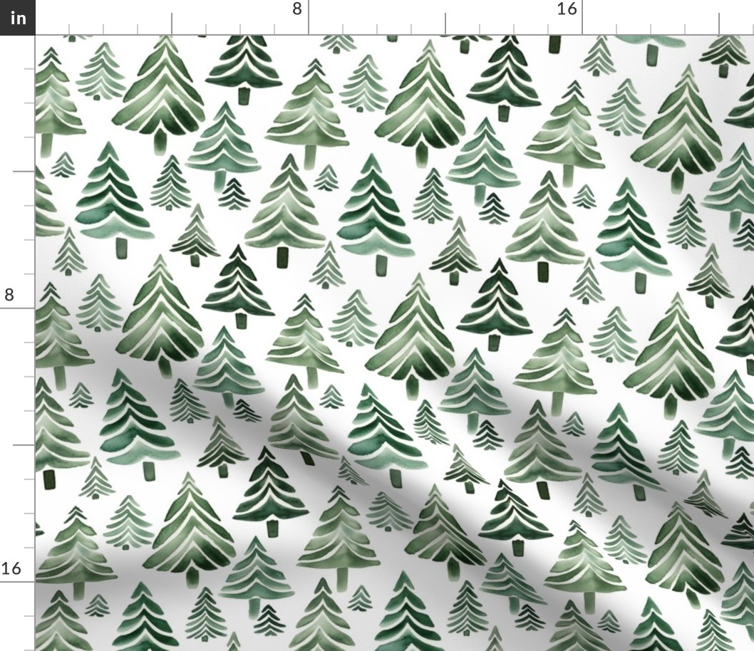 Spruce Forest. Christmas tree. Woodland landscape with fir trees