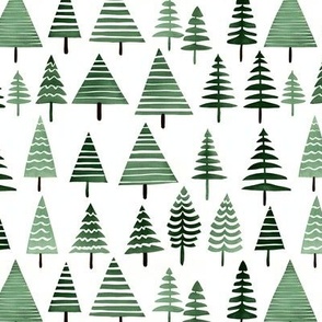 Spruce Forest. Christmas tree. Woodland landscape with fir trees