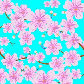 Sakura Flower with blue background