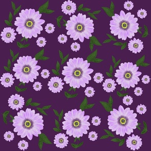 Purple African Daisy Flower