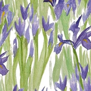 Watercolor Dutch Iris, hand painted in Rich deep purple and matcha green foliage for cottagecore