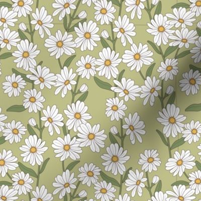 Little marguerite daisies - springtime blossom garden boho daisy floral design with stem and leaves yellow olive green on matcha