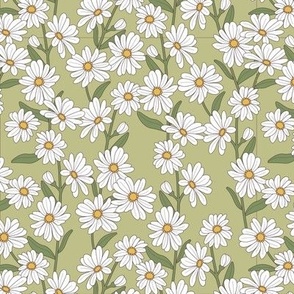 Little marguerite daisies - springtime blossom garden boho daisy floral design with stem and leaves yellow olive green on matcha
