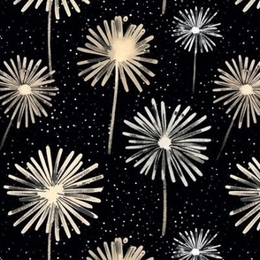 Holiday fireworks