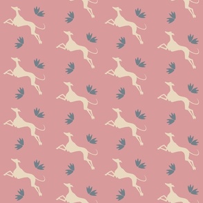 Greyhound and pink mood!