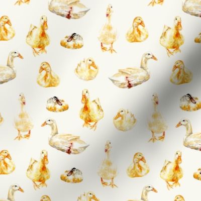 SMALL American White Pekin Ducks and other ducks - barnyard fowl in yellow and cream / ivory white