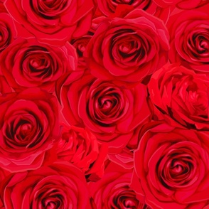 Ocean of Roses ( Valentine )