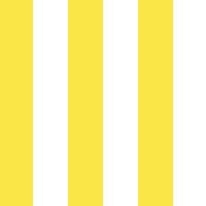 Yellow Pool Stripes