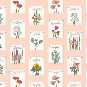 Flower Seed Packets Pink 
