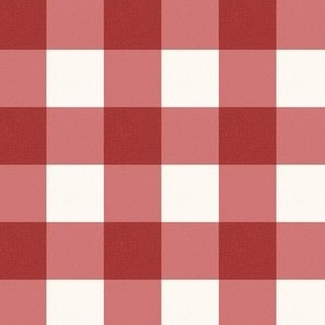 Gingham Checked Pattern cottagecore xmas red