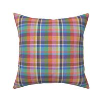 preppy rainbow plaids 1A