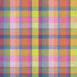 preppy rainbow plaids 2A